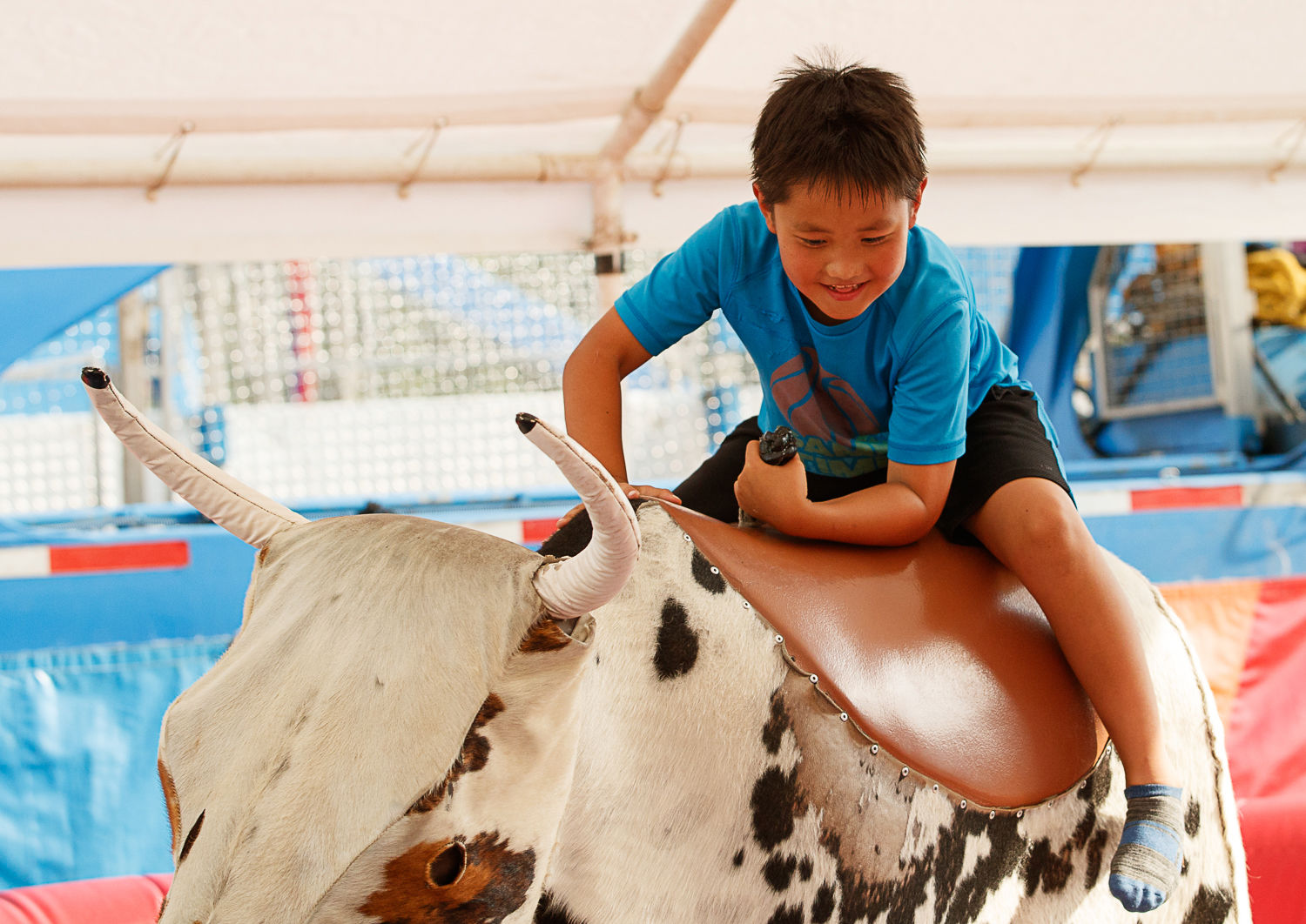 2019 Arlington County Fair
